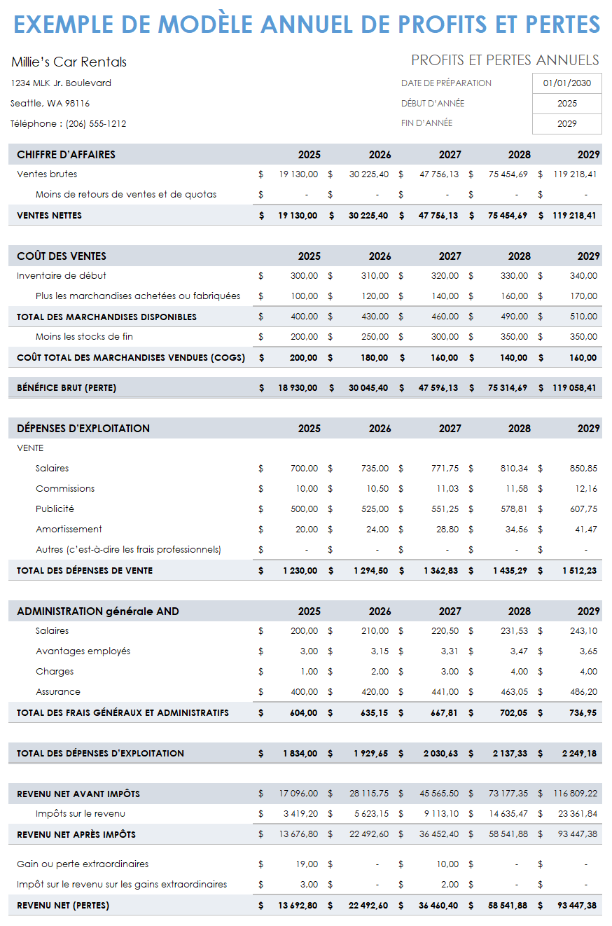 Échantillon annuel de profits et pertes