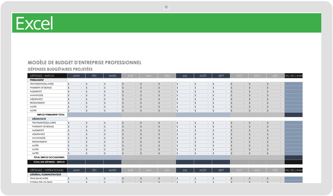 Budget d'entreprise professionnel